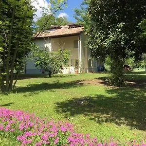 Acero Giallo Parma